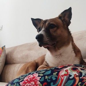 Meet your Posher, Natasha